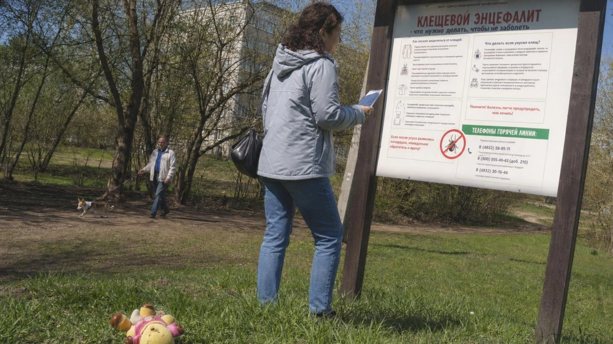 Роспотребнадзор открыл горячую линию по клещевому энцефалиту для ивановцев