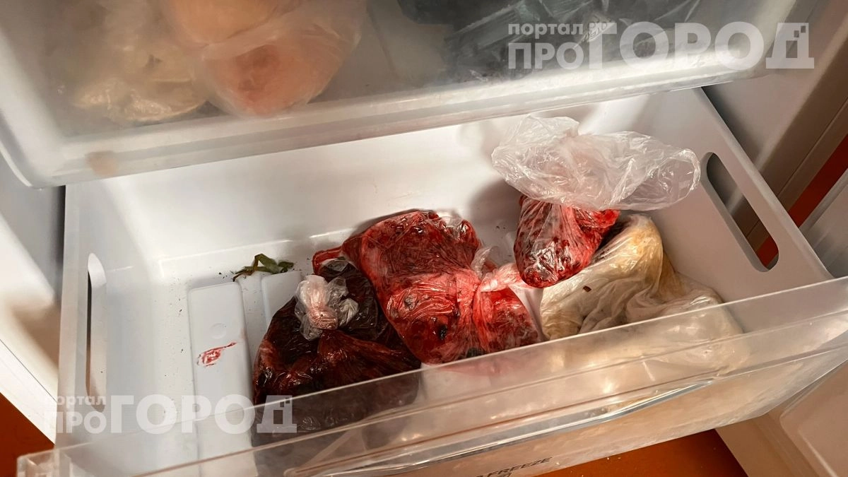 Вы рискуете здоровьем семьи: узнайте точные сроки хранения разного мяса в морозилке без риска для жизни