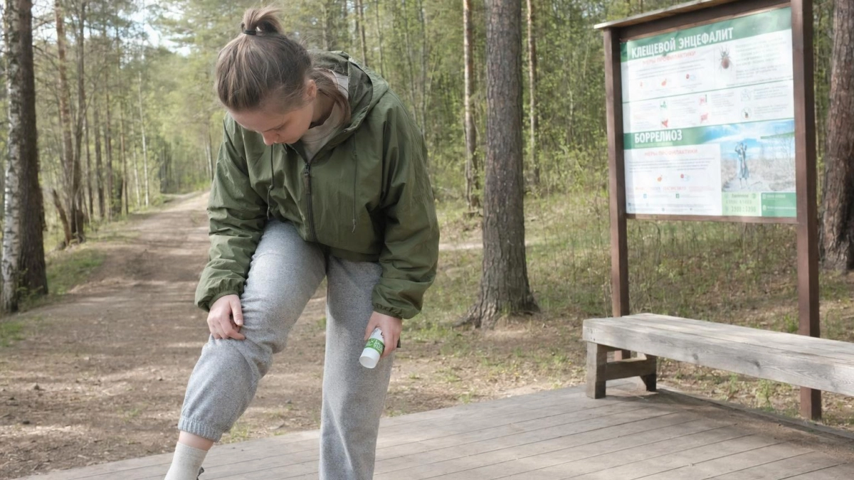 В Ивановской области 133 укуса клещей: боррелиоз уже выявлен