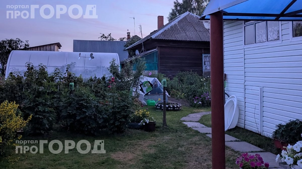 Забудьте про дорогую химию: достаточно одного простого средства для участка чтобы клещи исчезли навсегда