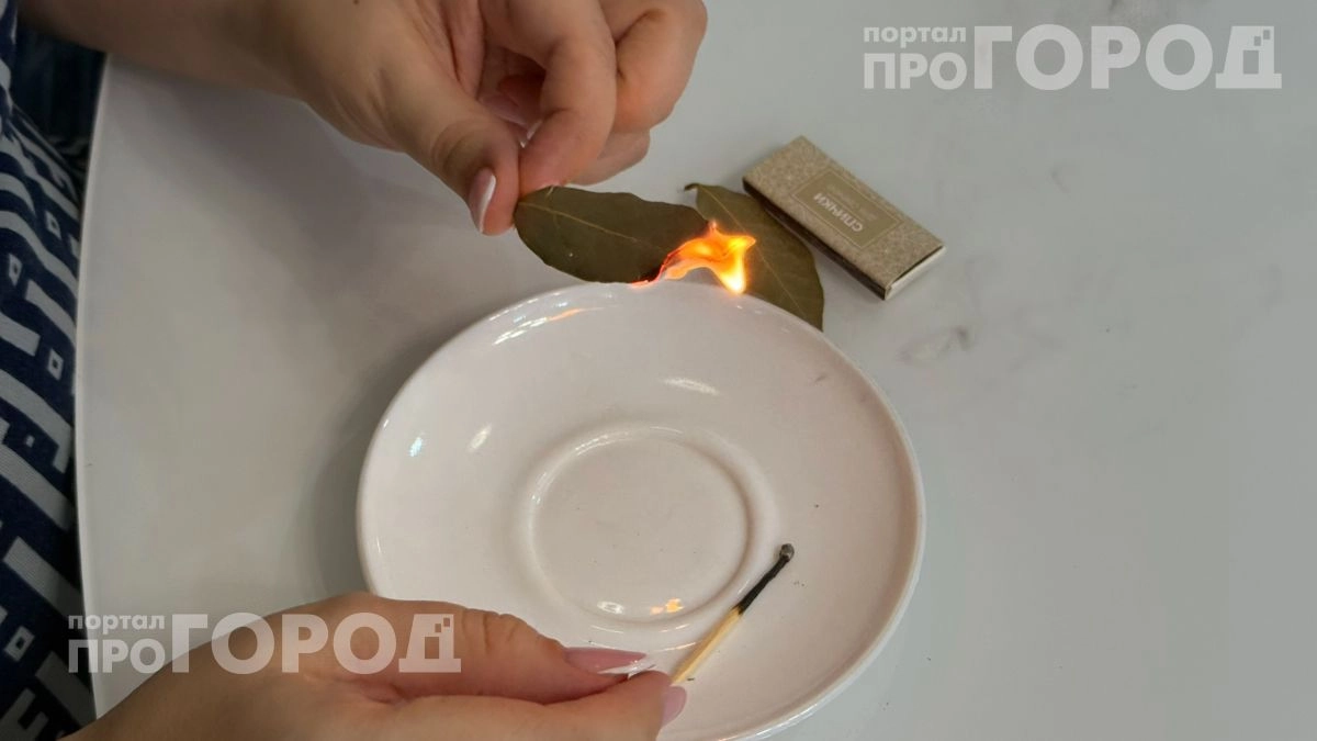 Перестаньте просто хранить лавровый лист на кухне: поджигаю пару штук в комнате и забываю о плохом самочувствии