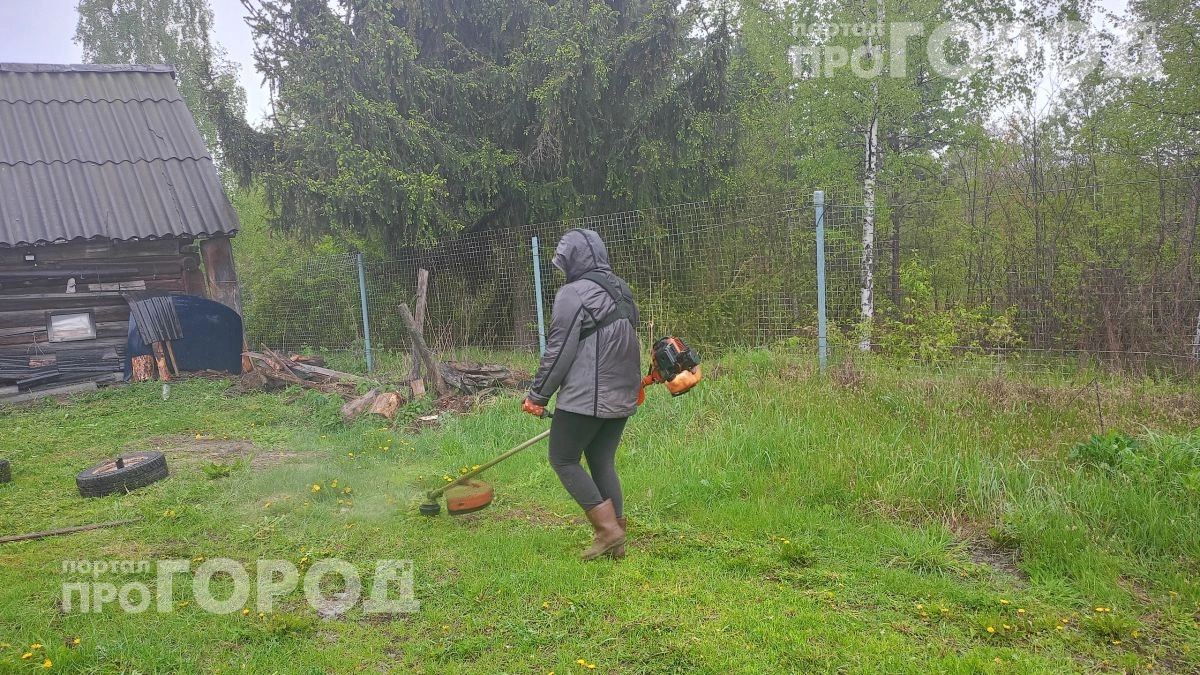 Хватит тратить деньги на химию: превратите скошенную траву в мощное удобрение всего за четыре простых шага