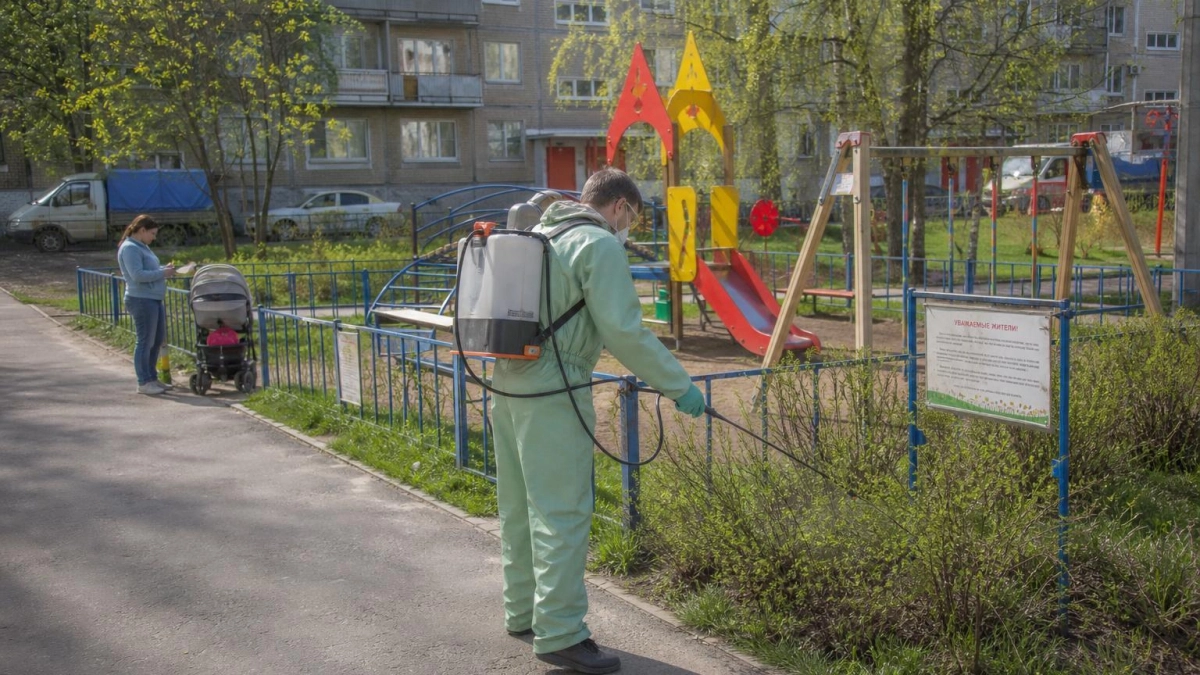 В Иванове обработают 96 тысяч квадратных метров детских площадок от клещей