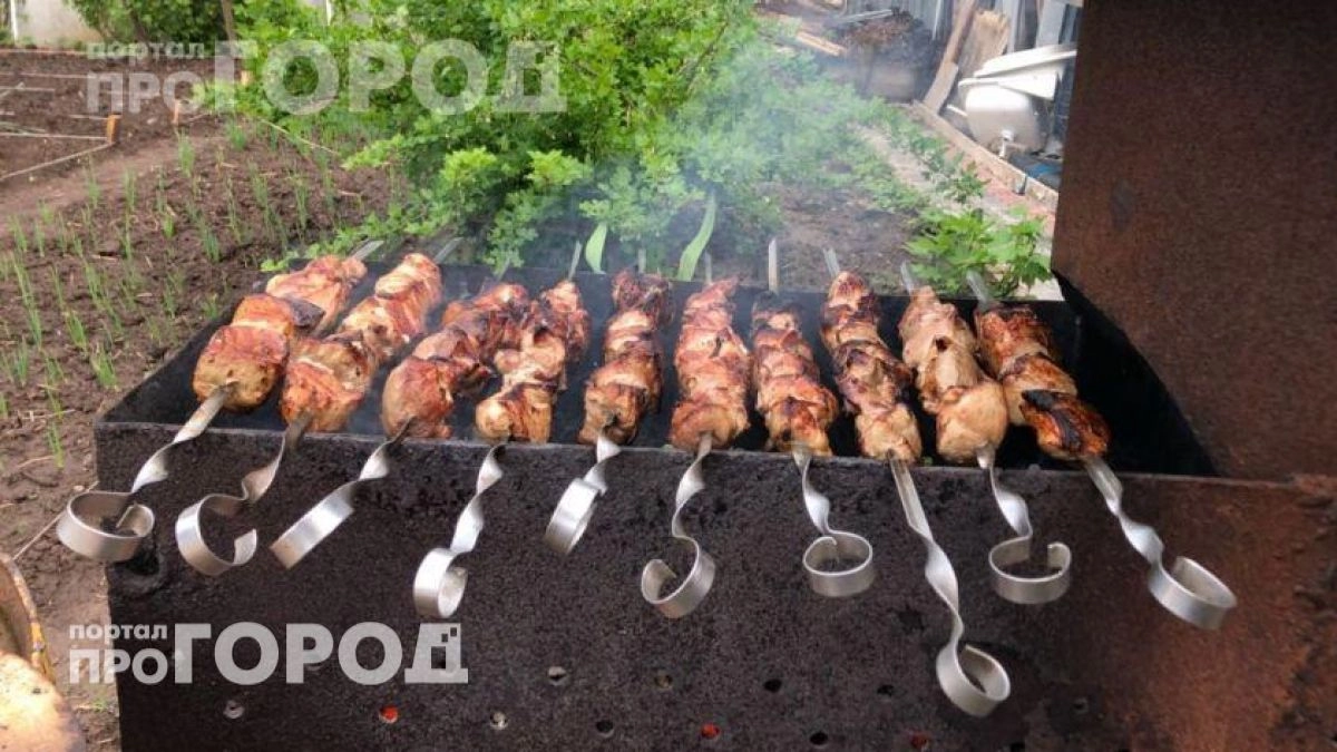 Хватит переплачивать мясникам за шею: вот какой отруб даст втрое больше сока и сделает ваш шашлык безупречным