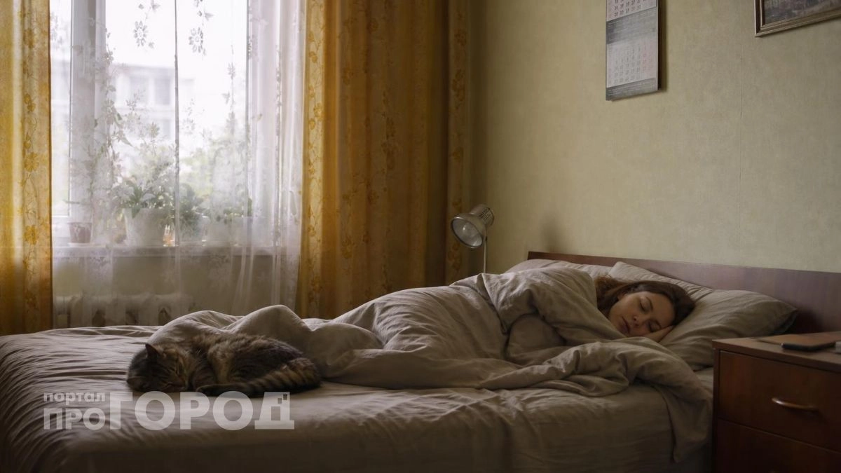 Сон с кошкой в одной постели: скрытая угроза здоровью, о которой молчат большинство владельцев животных