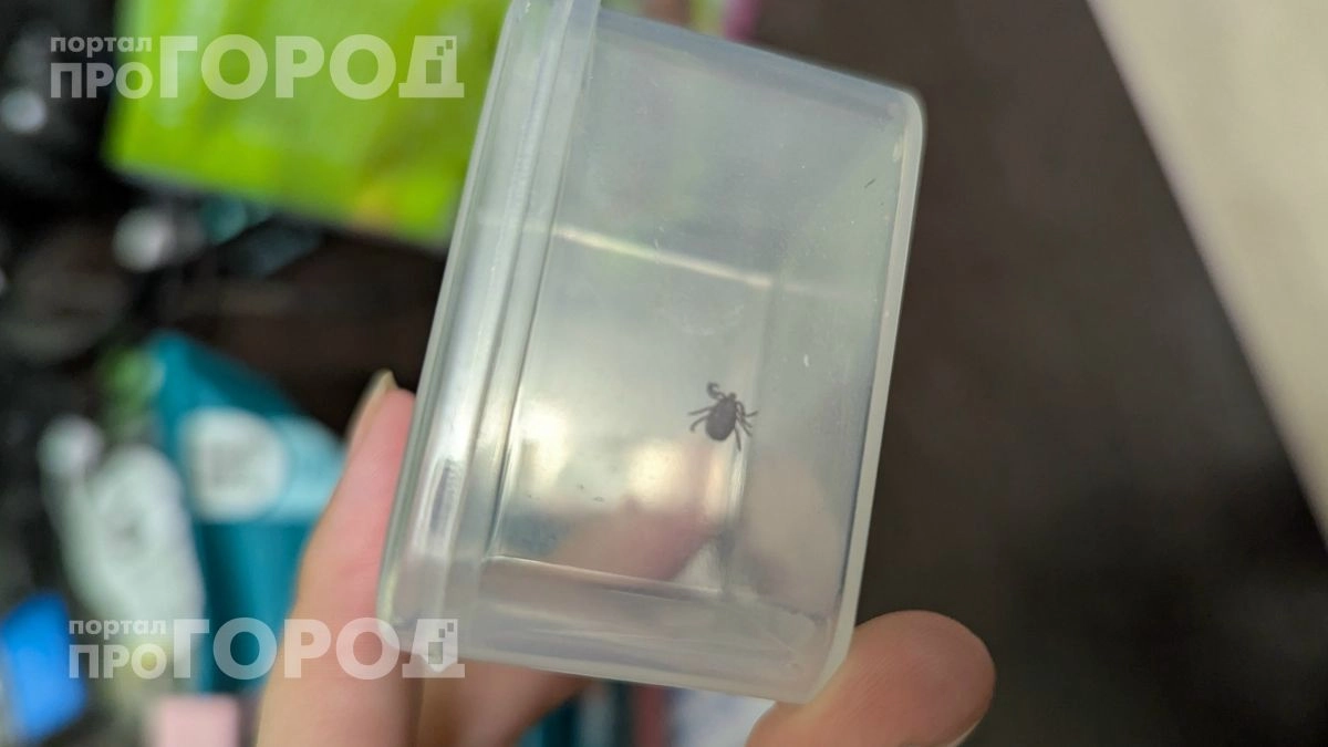 Безопасный поход в лес без химии: нанесите две капли этого средства на обувь и забудьте про укусы клещей