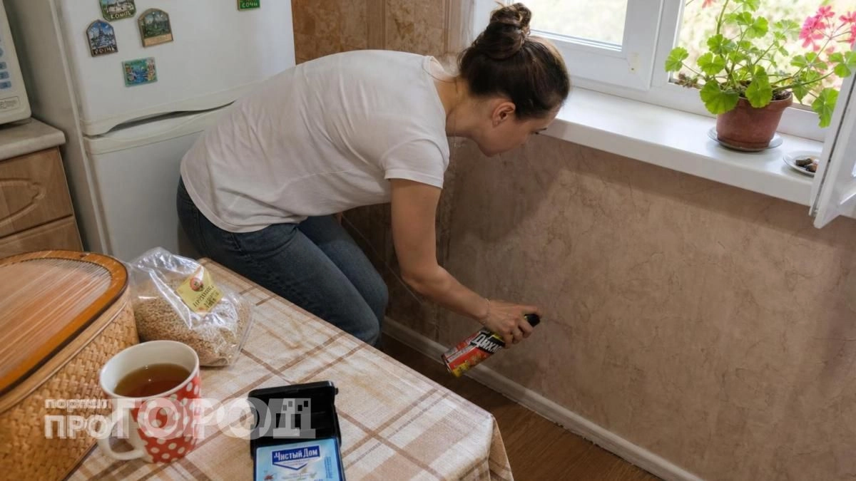 Просто капнула это средство на порог и забыла про муравьев: теперь они обходят мой дом стороной навсегда