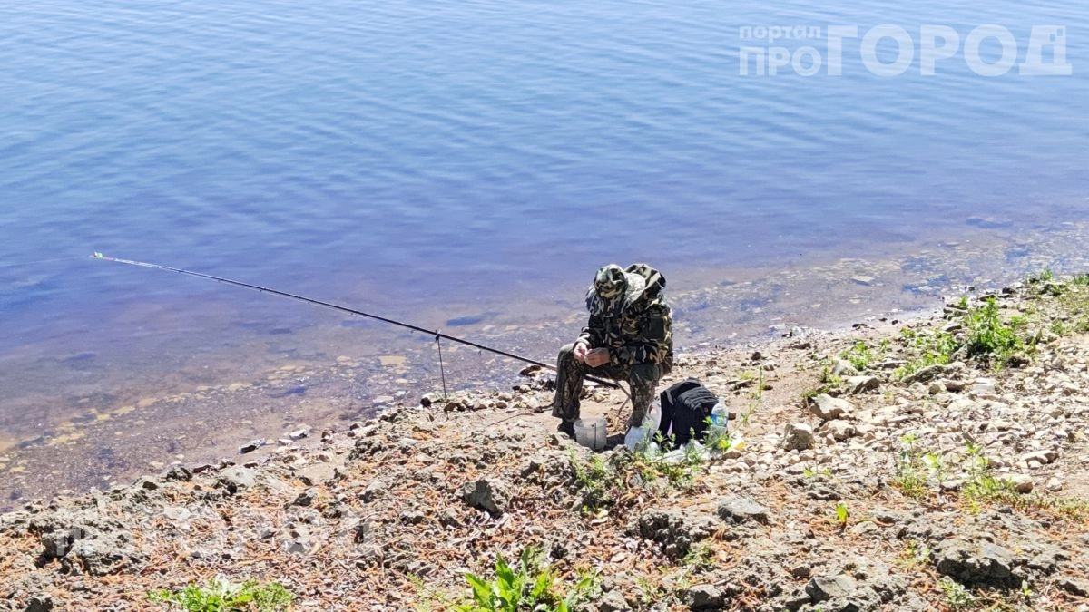 Комары исчезнут с участка за минуту: простой аптечный раствор действует эффективнее любых дорогих спреев