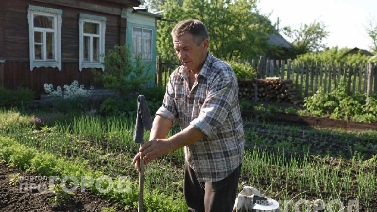 Больше никаких укусов на даче: простой трюк с носком и палкой избавляет от назойливой мошки за минуту