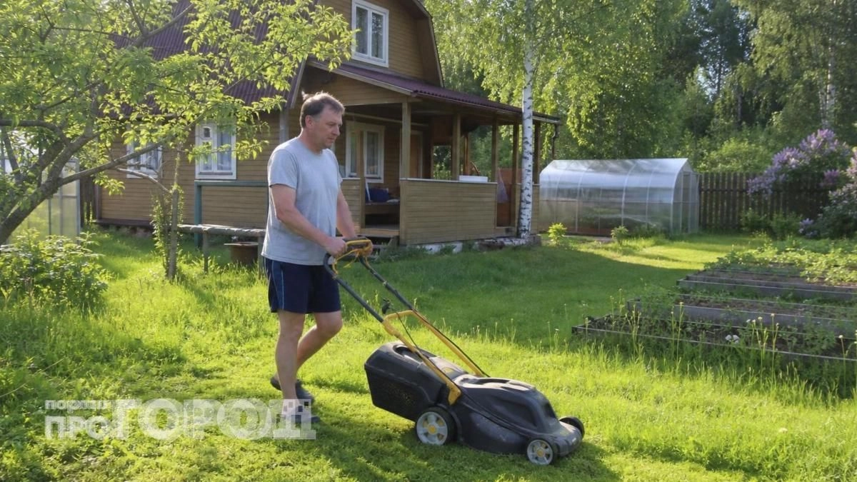 Отказываюсь от газонокосилки и туй: как в 2026 году обустроить участок для отдыха без лишней работы