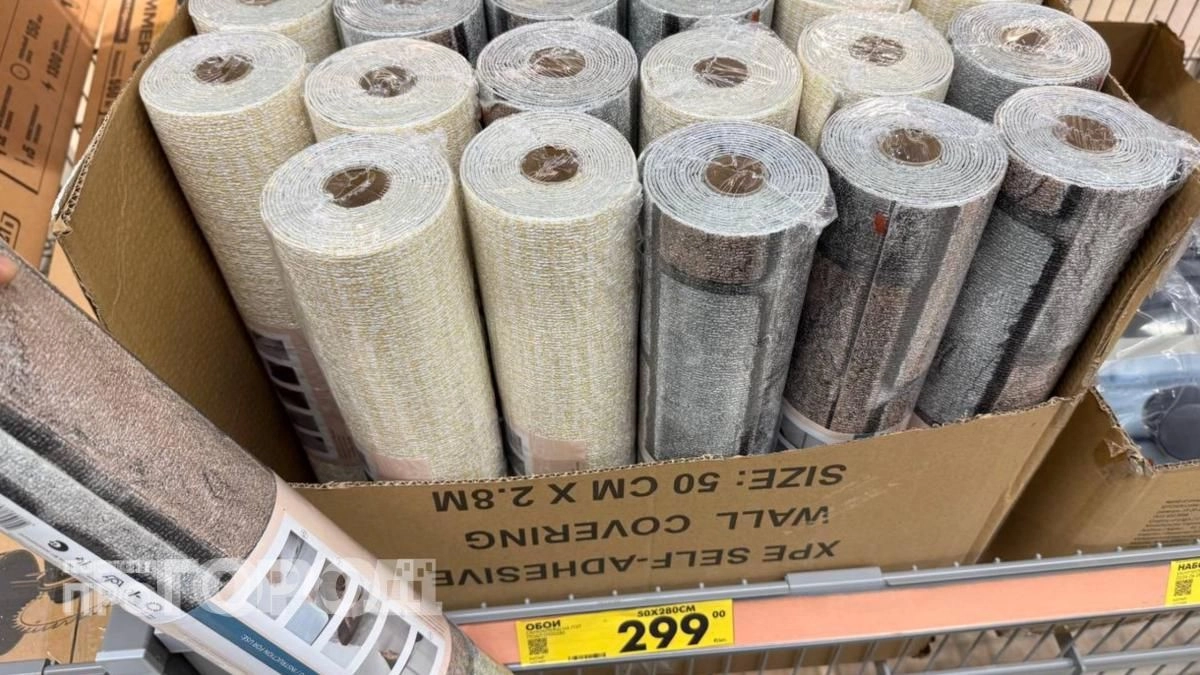 Забудьте про шпатель и клей: в Чижике нашлось решение для быстрого преображения стен за сущие копейки