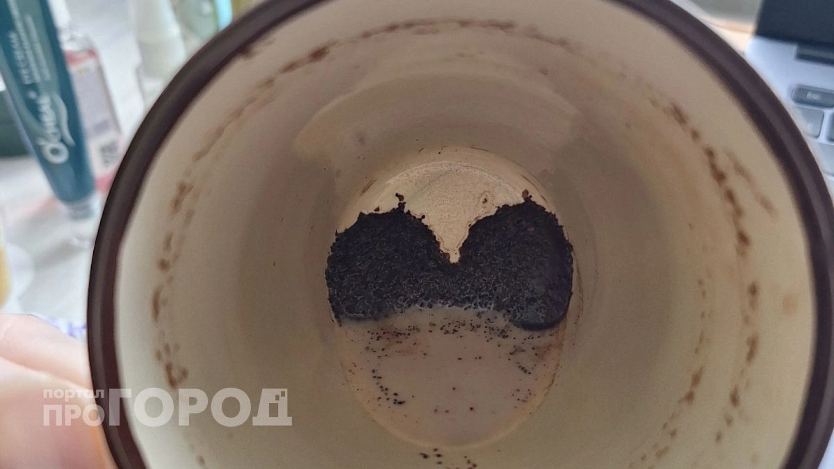 Перестала выкидывать кофейную гущу: теперь удобряю ею эти растения и собираю рекордный урожай без затрат