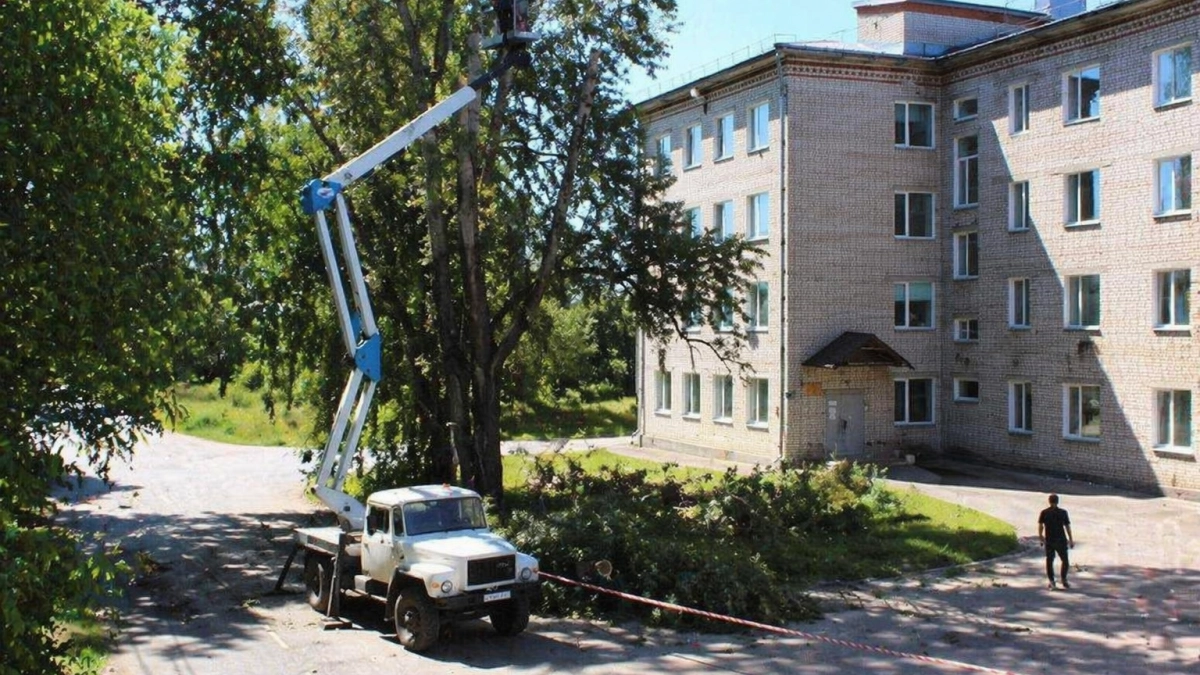 В Кинешме подрядчик начал спил 32 аварийных деревьев в разных районах