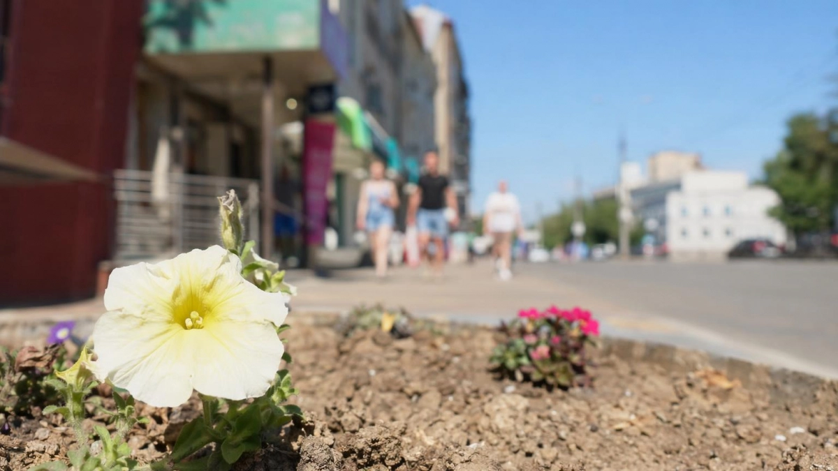 В Иваново 9 июля вернется жара до плюс 32 градусов
