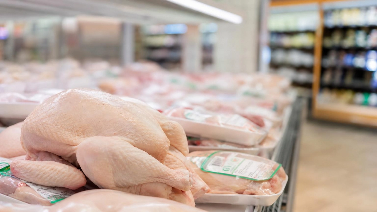 Курица в Ивановской области дорожает: филе прибавило 30% за лето
