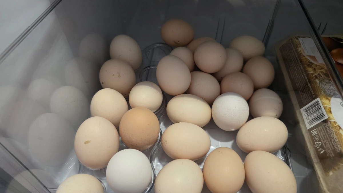 Красная точка в яйце: когда стоит немедленно выбросить продукт, а когда можно смело готовить яичницу