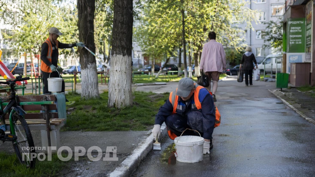 Белили деревья в СССР вовсе не для красоты: узнайте истинную причину этой привычки, меняющую взгляд на сад