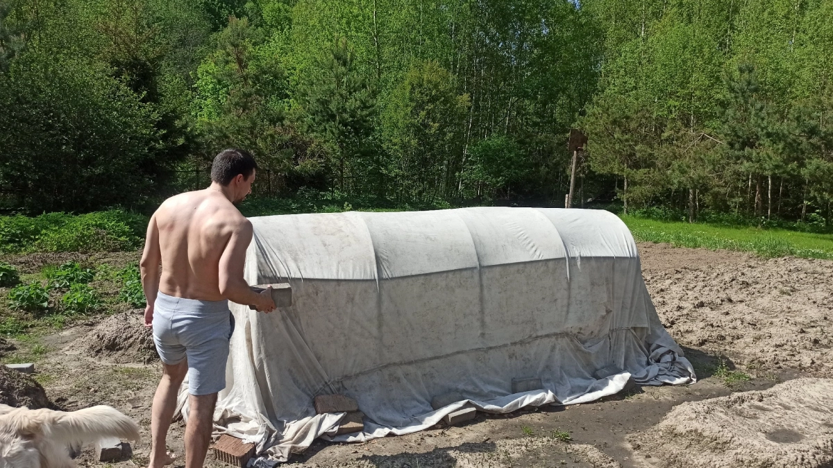 Муравьи покидают участок через двое суток после использования манки: делюсь простым и эффективным способом