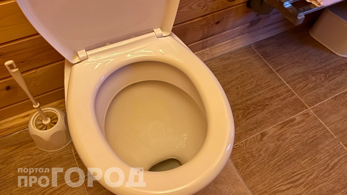 Выливаю остатки этого средства в унитаз и чайник перед сном: утром налет исчезает без следа и усилий
