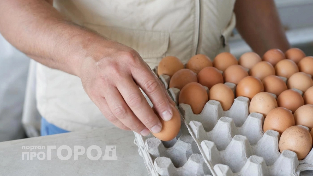 Перестала выбрасывать упаковки от яиц: показываю пять полезных способов применения в быту и на даче