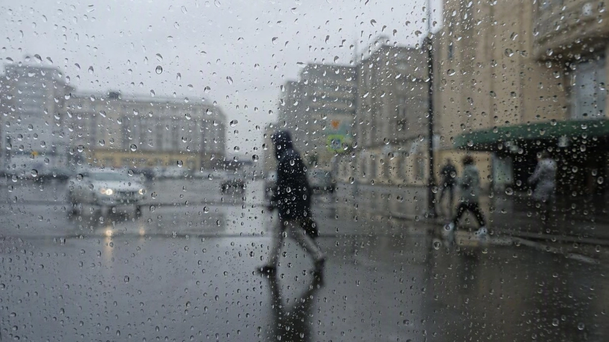 В Ивановской области почти всю неделю будут дожди, к пятнице похолодает до +16