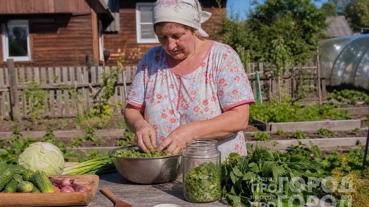 Больше не сушу зелень: перетираю базилик с солью и всю зиму наслаждаюсь вкусом свежих трав в блюдах