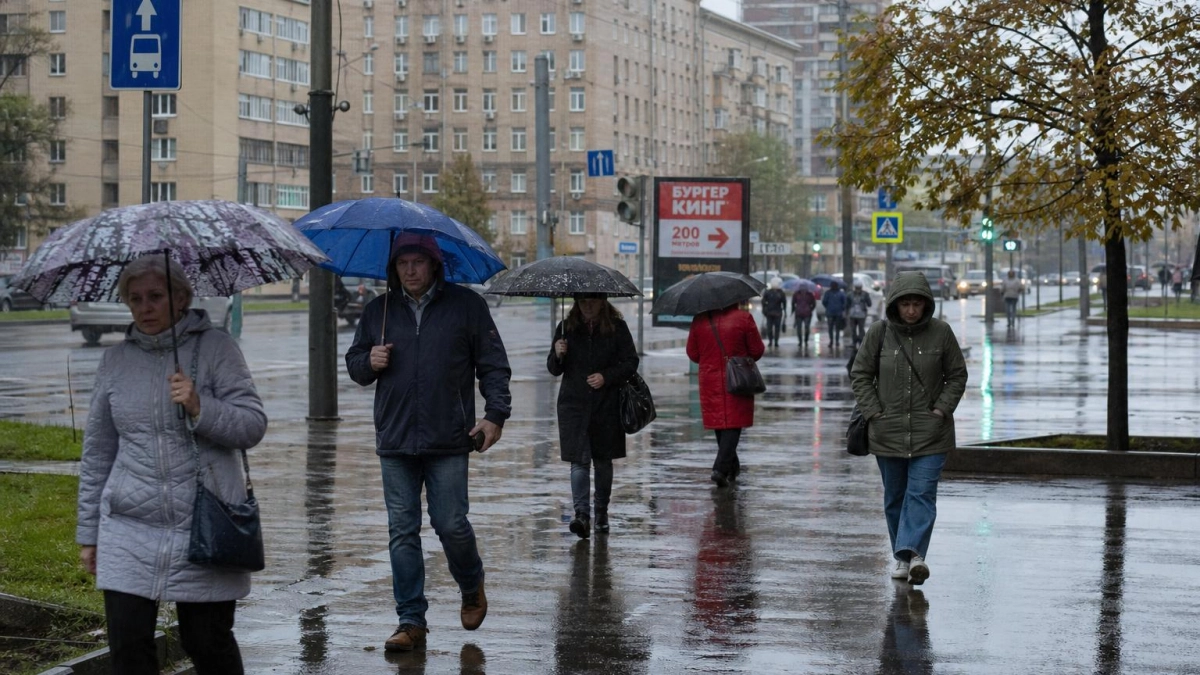 В Ивановской области с начала недели ожидаются дожди и похолодание до +16