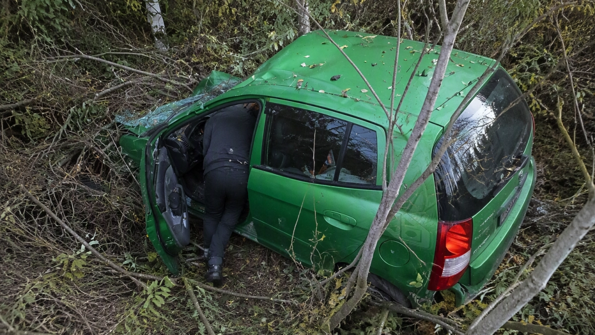 В Кинешемском районе водитель Kia Picanto пострадал после наезда на лося
