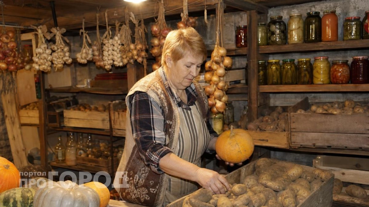 Весь урожай долежит до весны без единой гнилой картофелины: исправьте эти 10 ошибок прямо сейчас