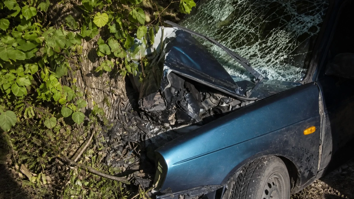 В Юже после удара Lada Priora о дерево в больницу увезли четверых