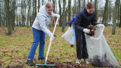 Ивановская область превысила план лесовосстановления на 41%