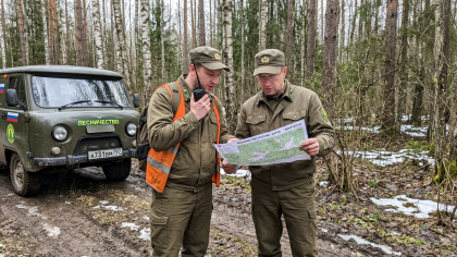 Губернатор подписал план тушения лесных пожаров для всех 10 лесничеств Ивановской области