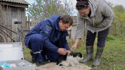В Ивановской области за две недели привили от бешенства 776 животных